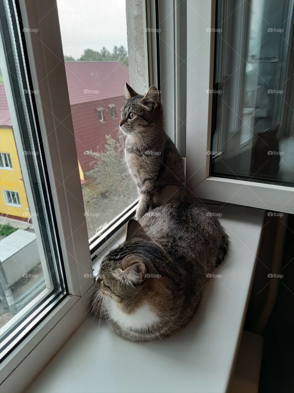 Высоко,  далеко!