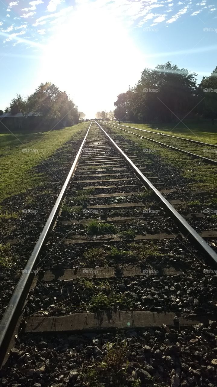 Find your path and follow it through everything. 🛤️💭