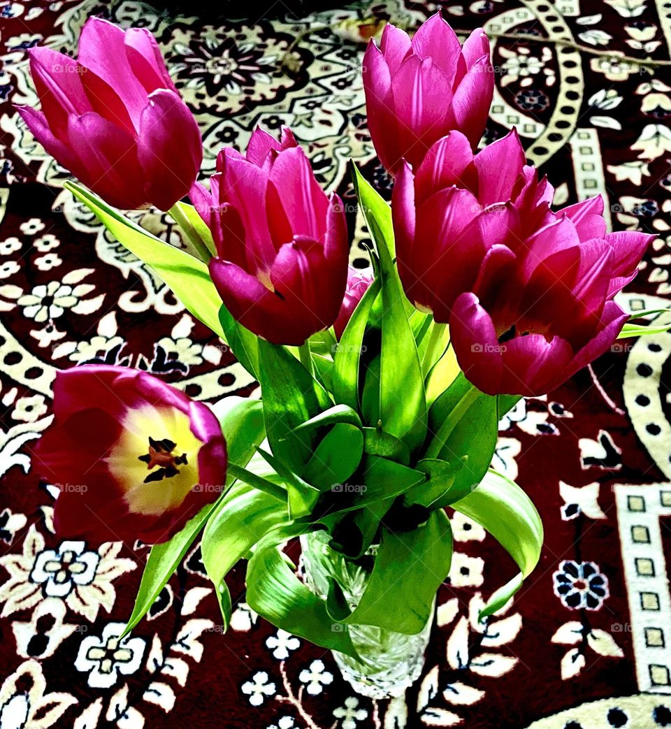 From when i buy my firt tulips satrs spring starts sprig feeling grow imside me, do t  atter of th weatnr dissagrees😊