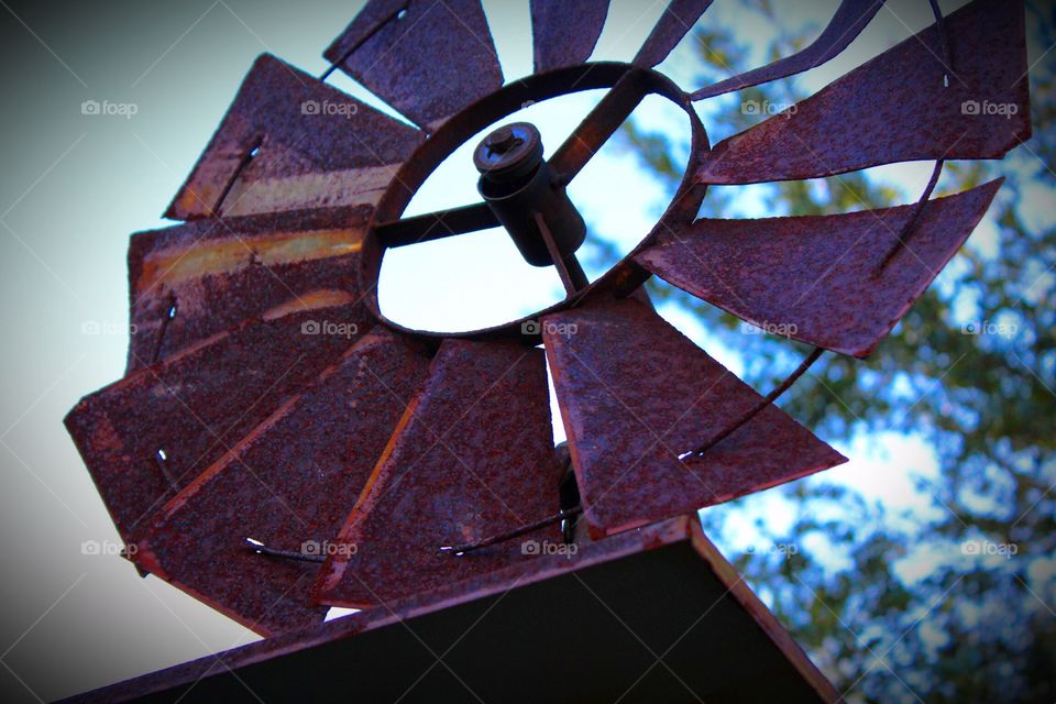 Rusty windmill in a wildflower garden