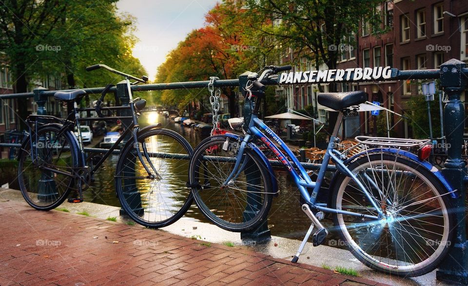 Bikes Amsterdam