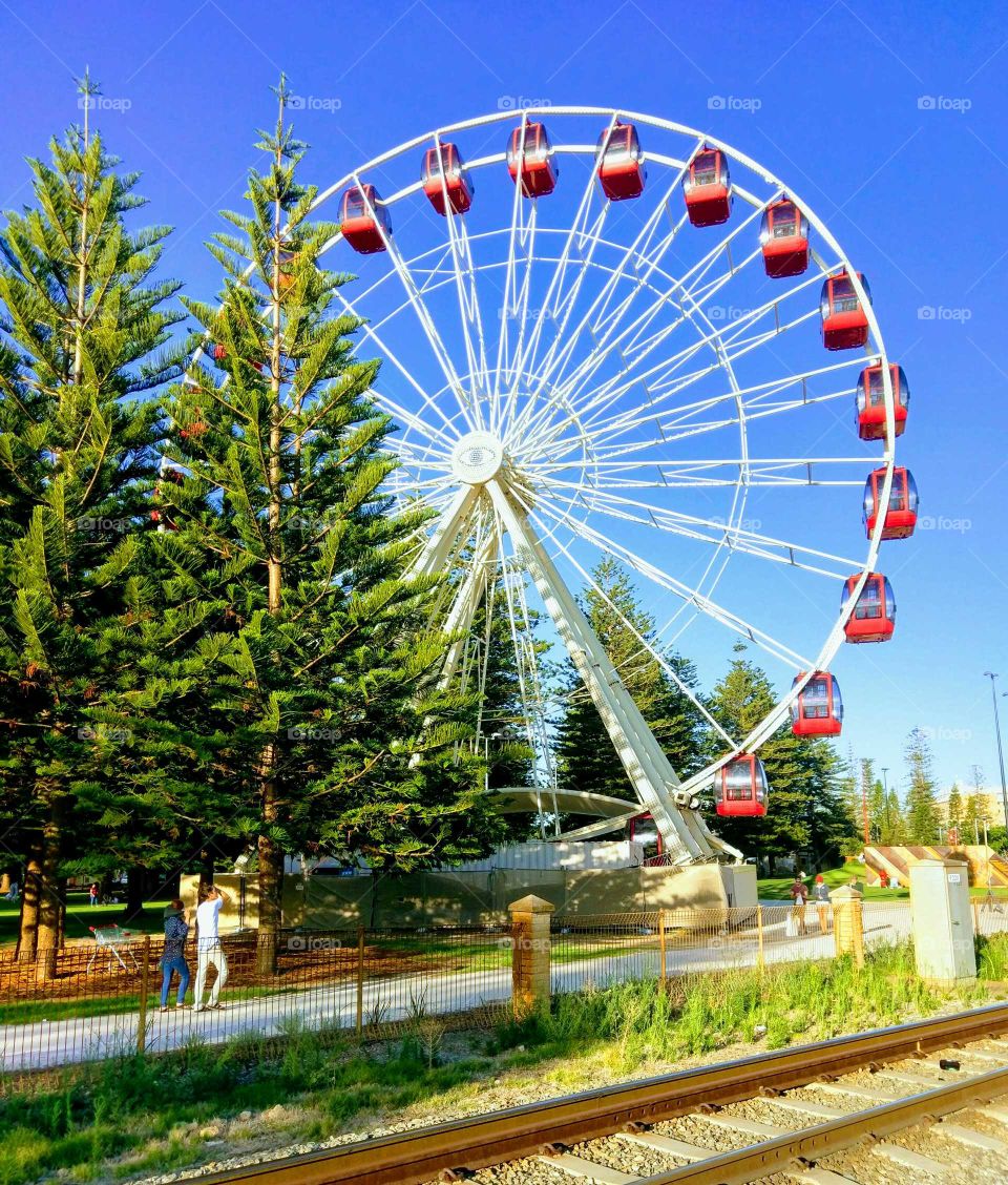 Summer views of the Ferris Wheel