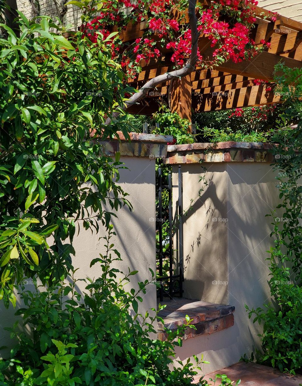 Southwest Architecture in Old Scottsdale