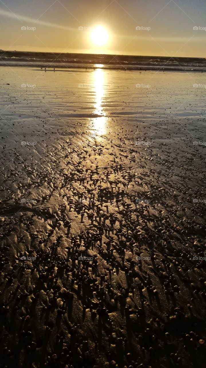 Pebbles in the sand at sunset