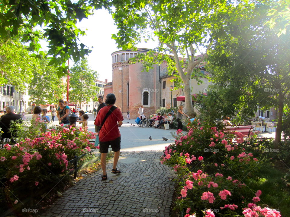 Garden, Flower, Tree, Street, People