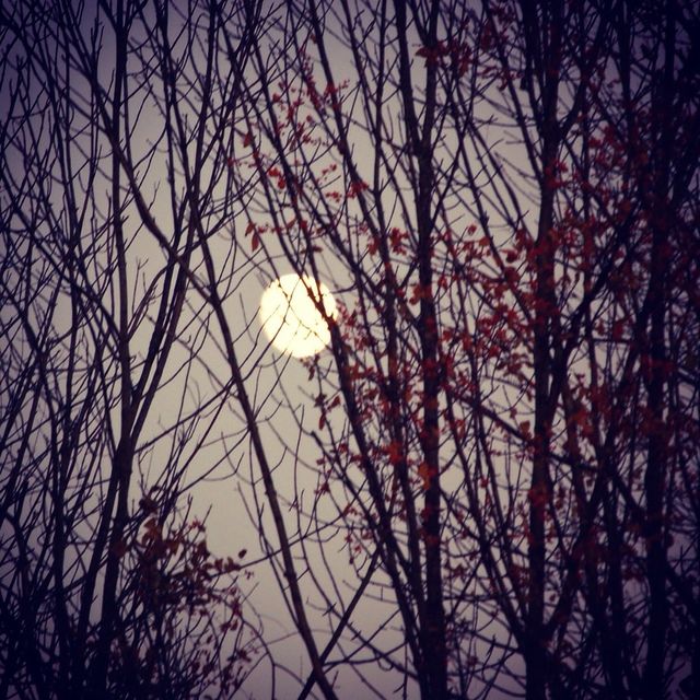Moon