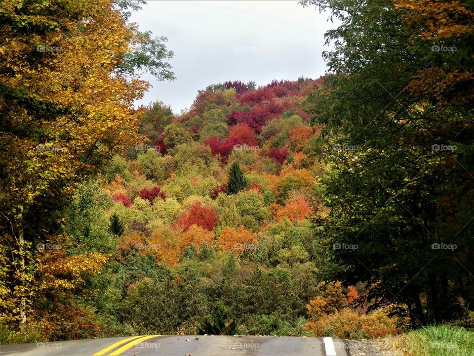 On my drive home I am faces with the beauty of change.