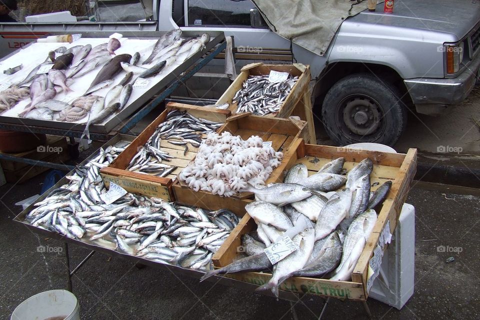 Fish market