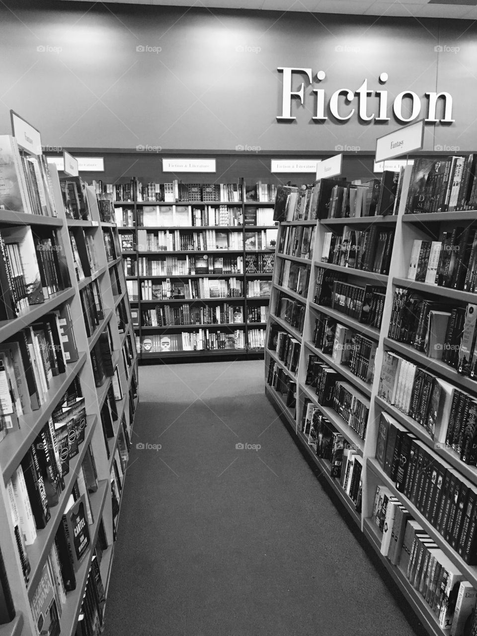 Chapters Indigo, fiction section