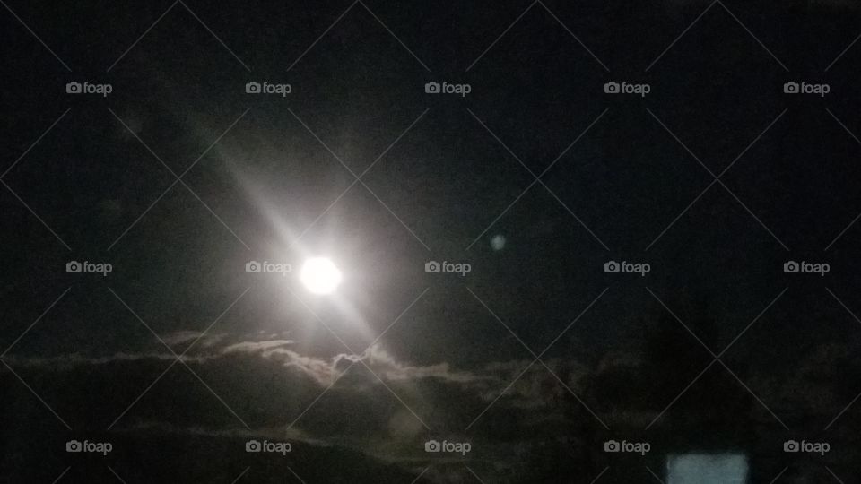 Night moon