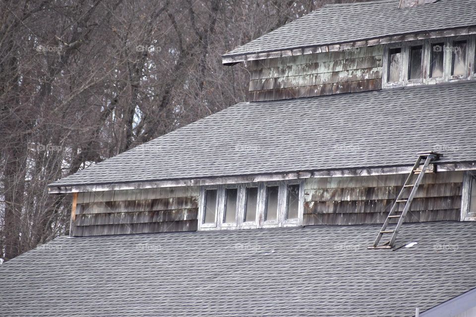 An old building with a tiny ladder