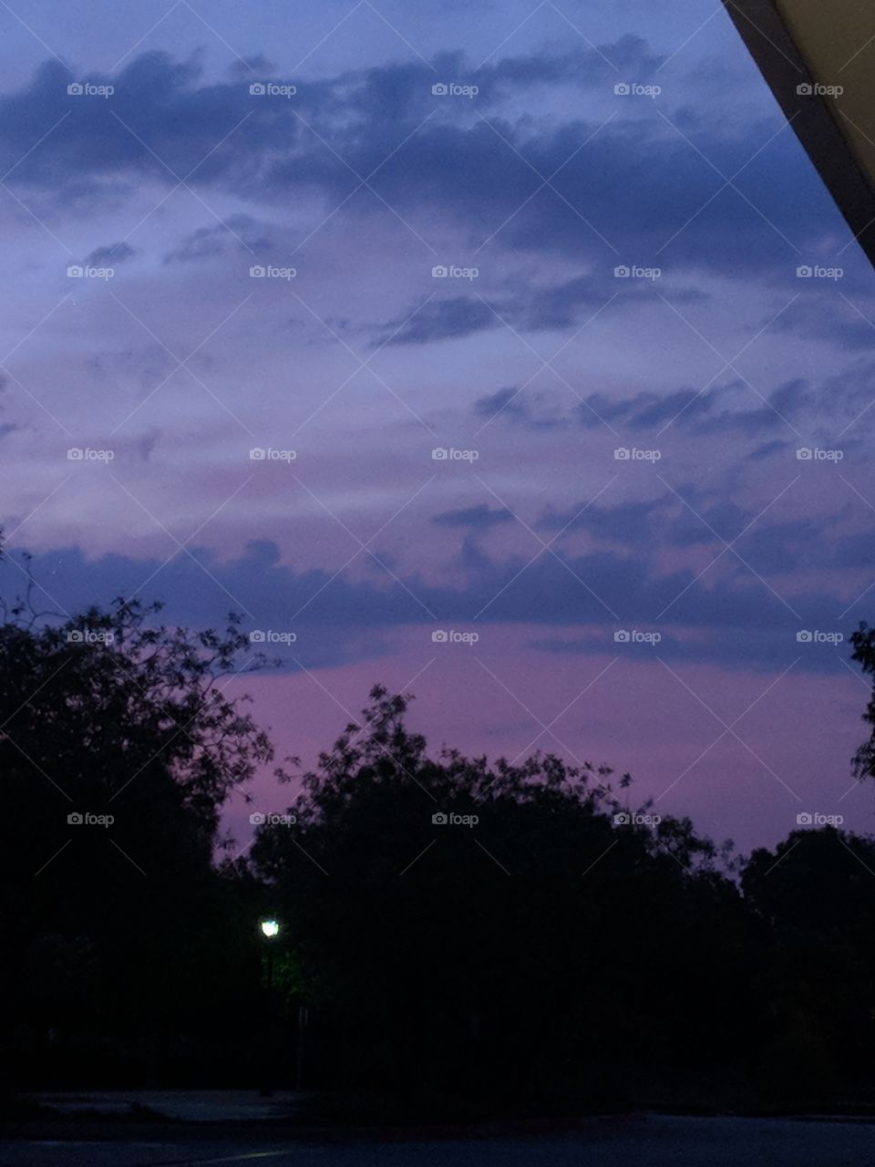 beautiful purple sky