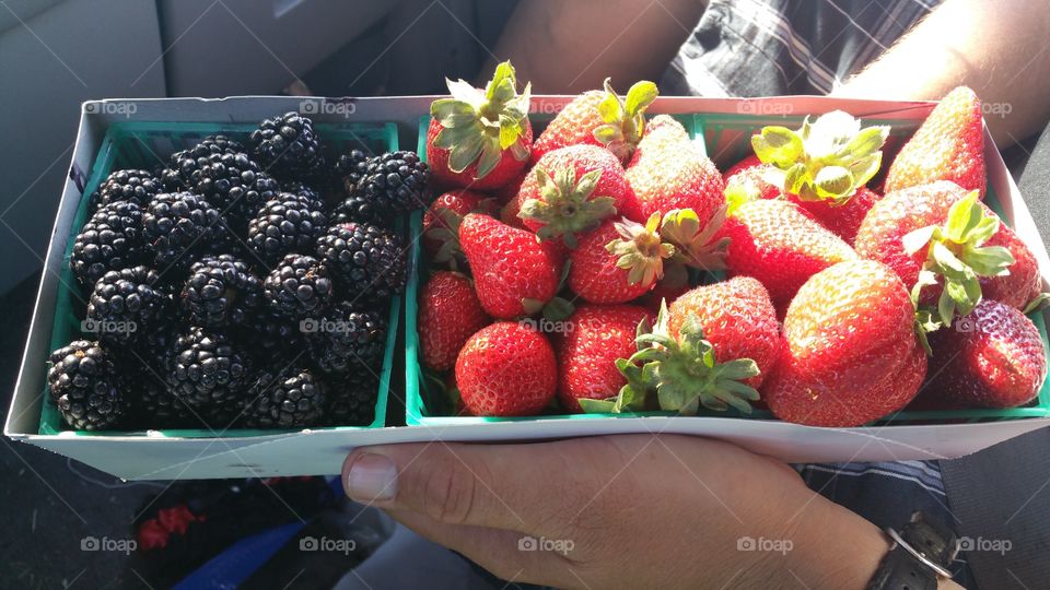 Berry Loved. Sonoma County fresh organic berries. Perfect for a summer road trip. Santa Rosa,  Ca.