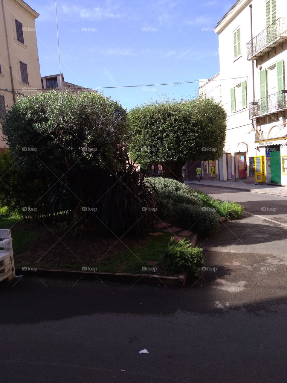 Battle: Countryside vs City