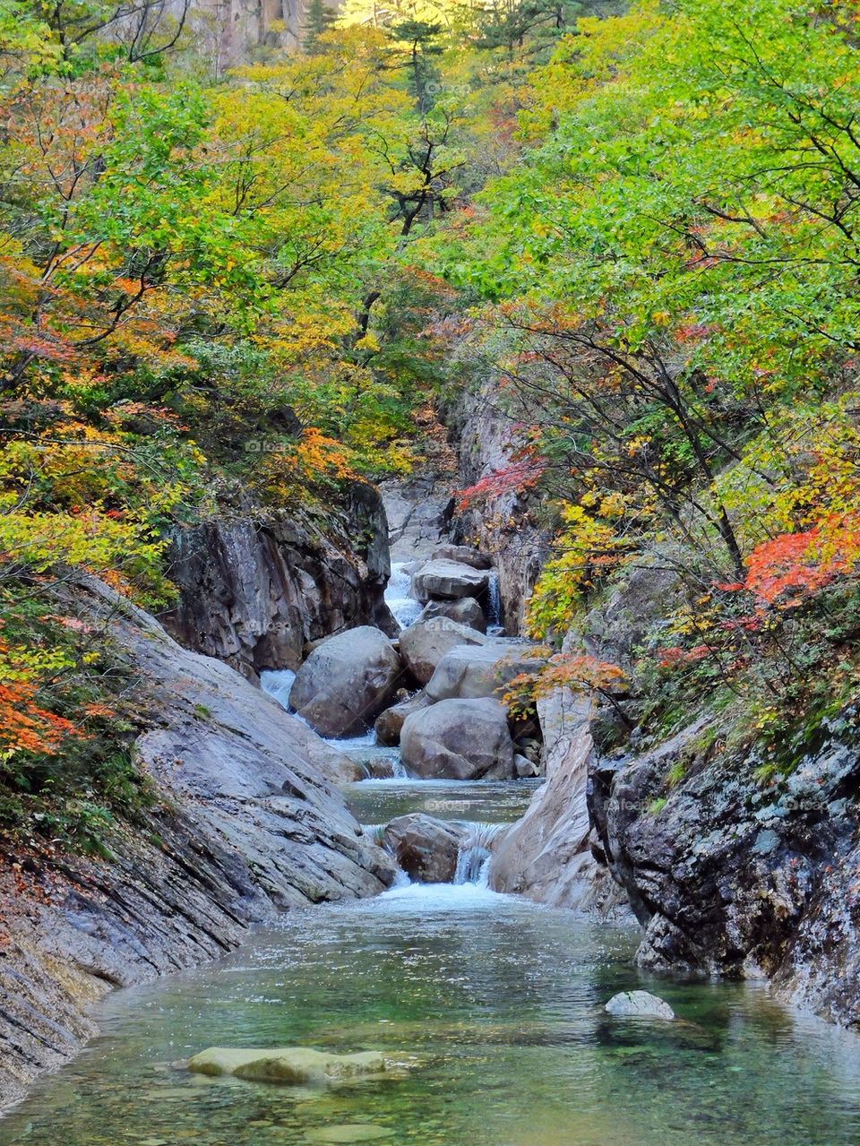 Mountain stream in Seoraksan