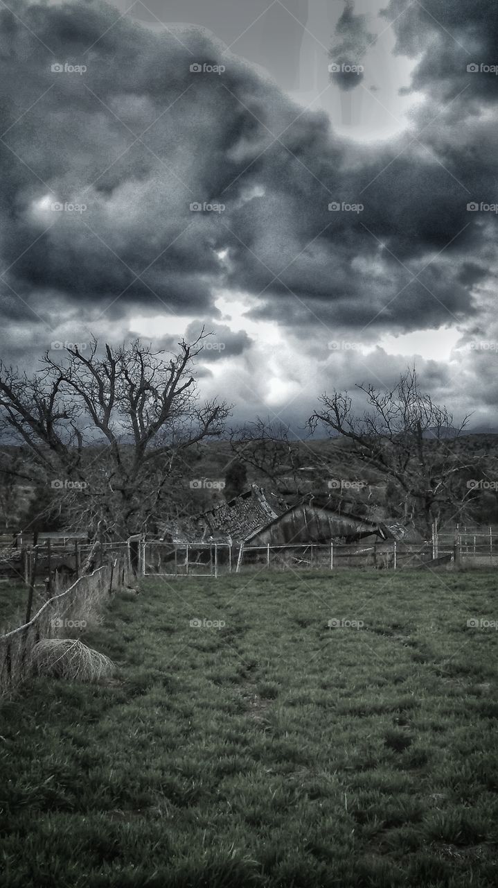 Oak Glenn California