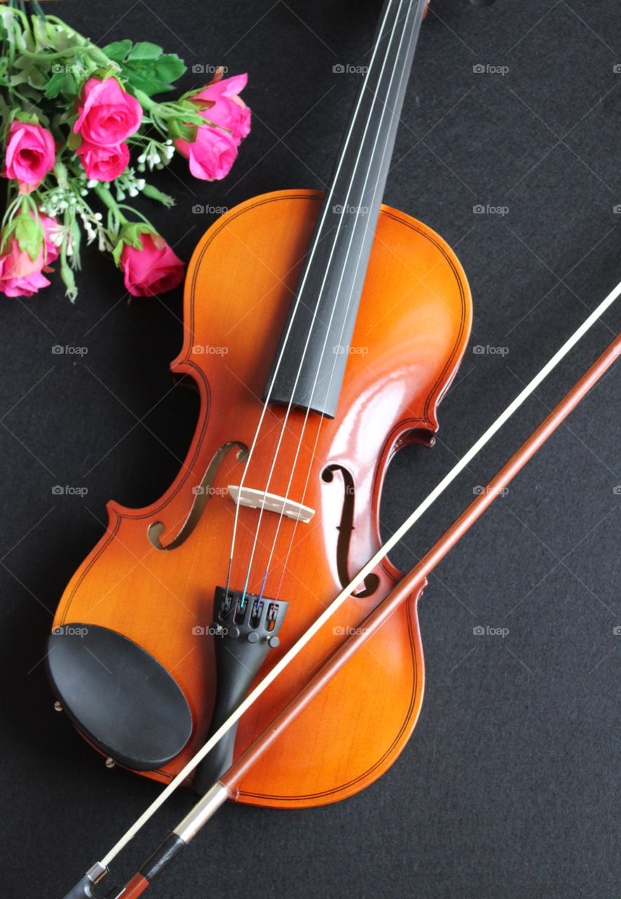 Musical instrument, stringed instrument, violin, bow, music, instruments 