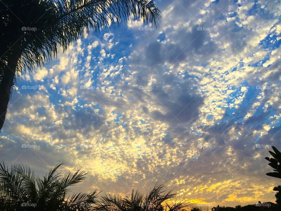 Looking at the Sunset. Tropical Paradise and clouds in the sky.