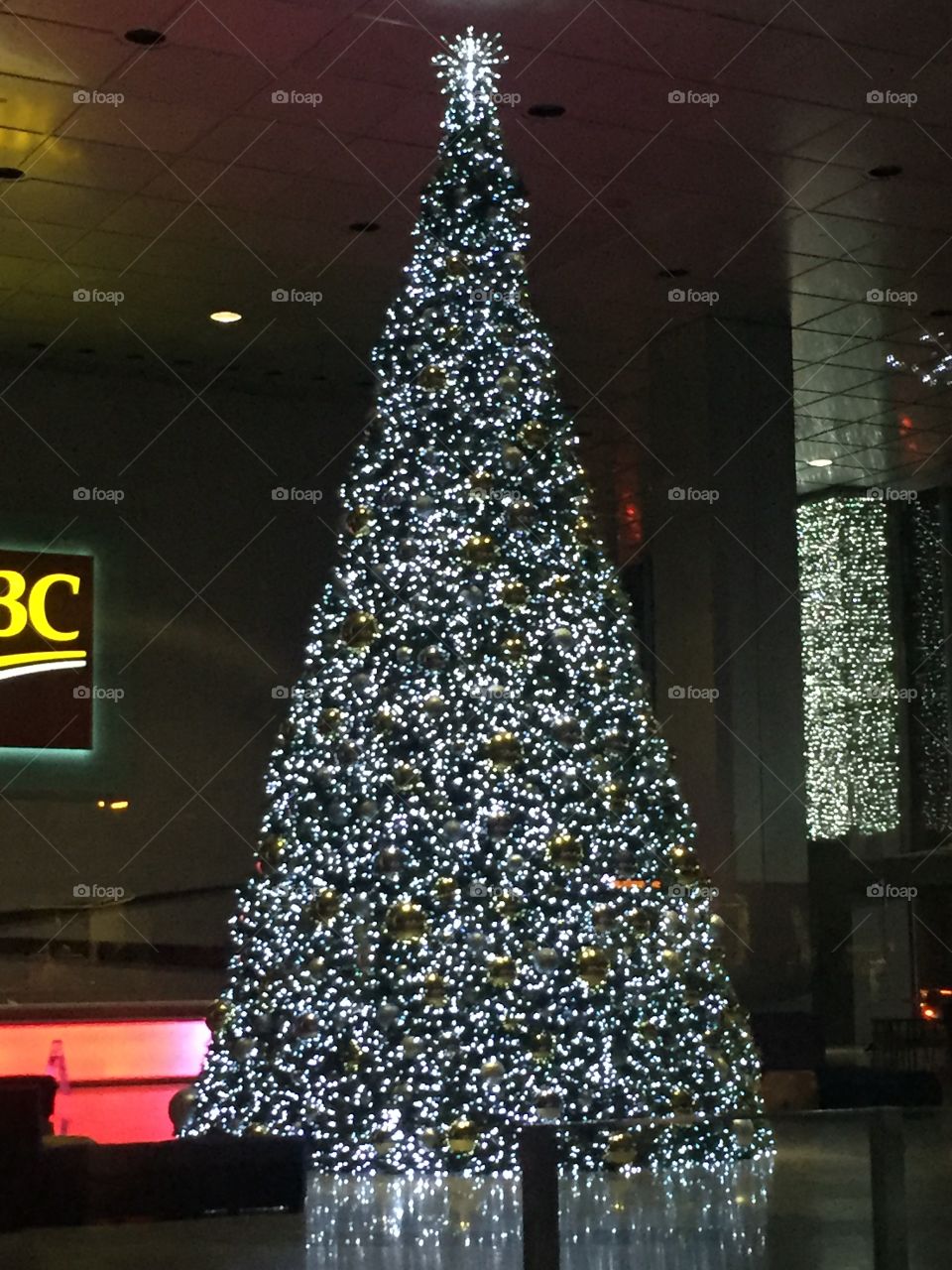 Christmas tree of downtown Toronto 