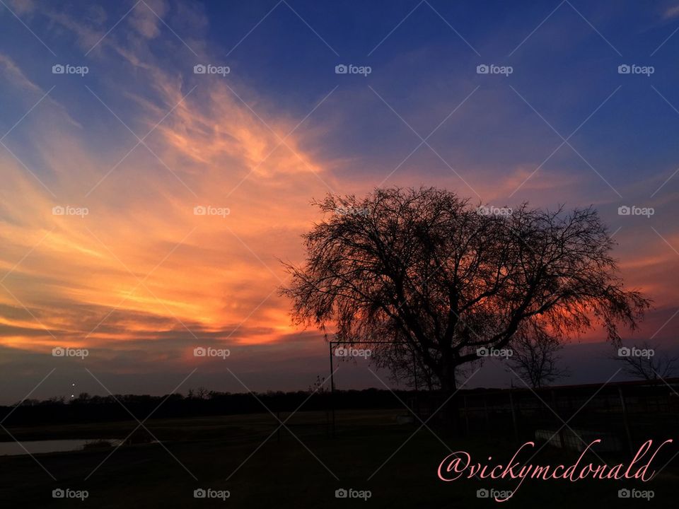 Texas sunset 