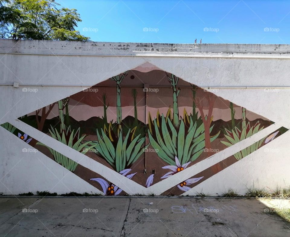Magueyes street-art mural 
