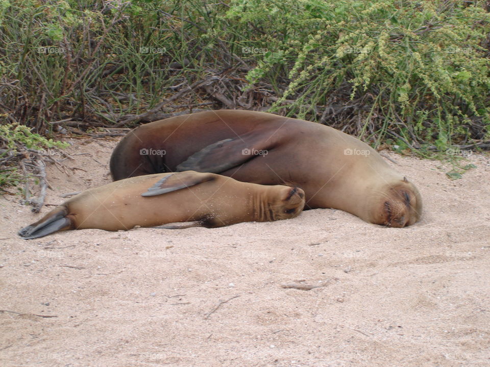 Sleeping with my mommy 