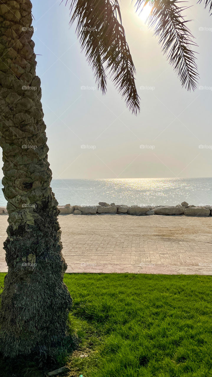 A summer noon from a sea front 