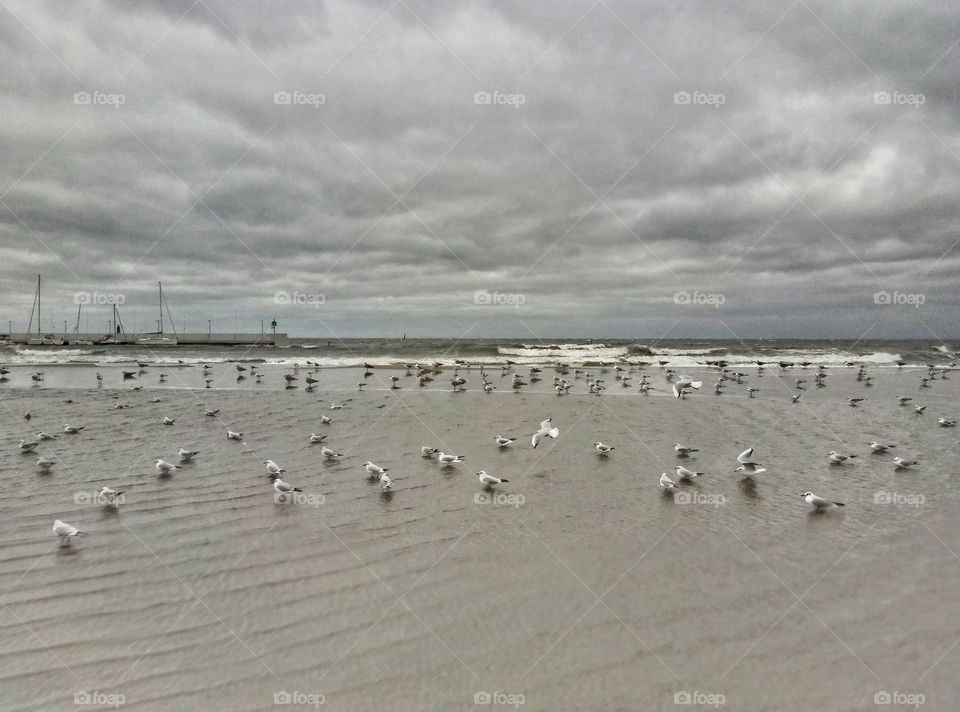 stormy day on the Baltic Baltic Sea