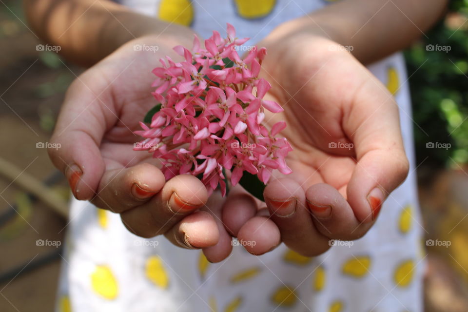 holding flowers