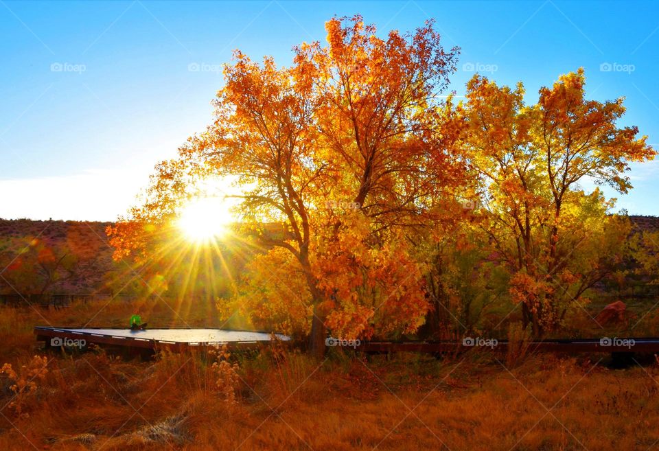 Morning yoga in autumn