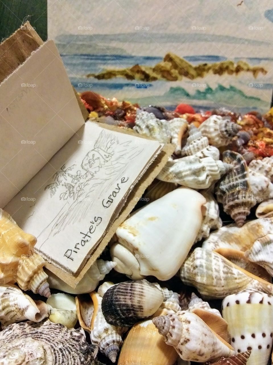 treasures of the sea