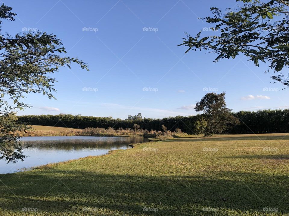 Lake and the meadow view evoking tranquility 