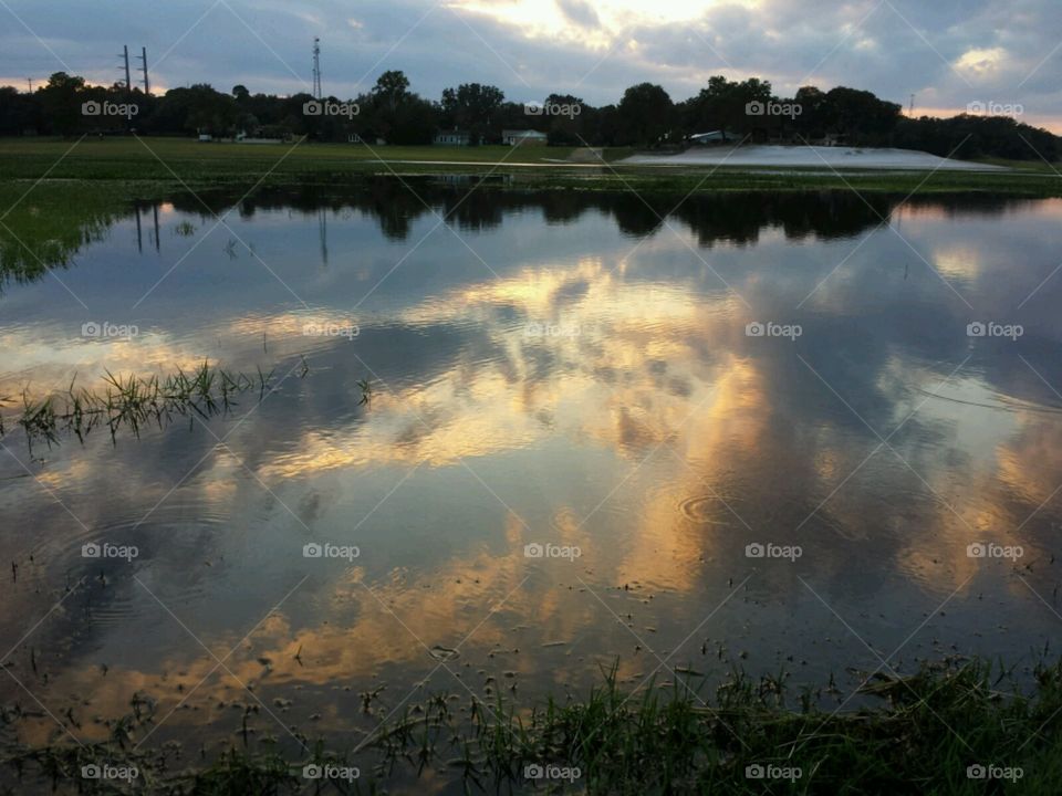 lake life. crystal clear reflection