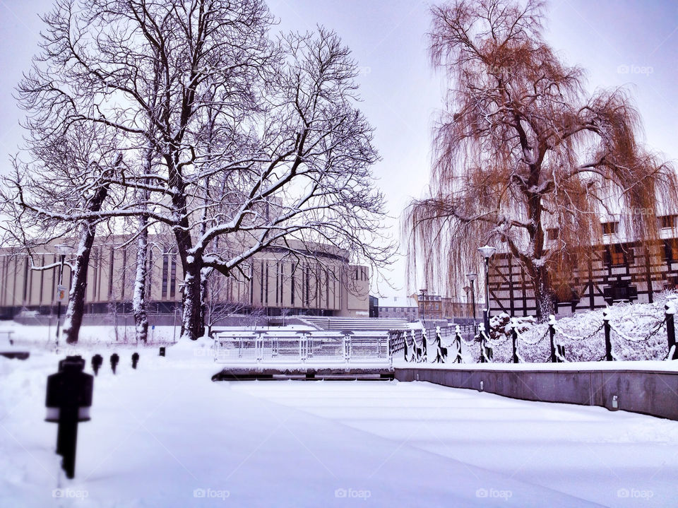 Mill Island under snow