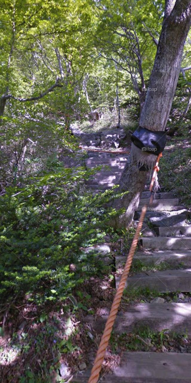 đường lên núi.