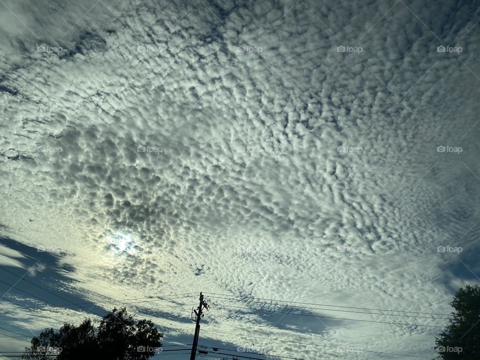 Series: A View From My Window 