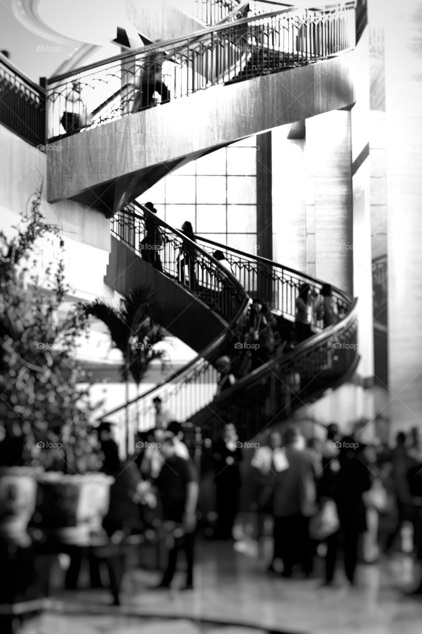 Going up to the Light