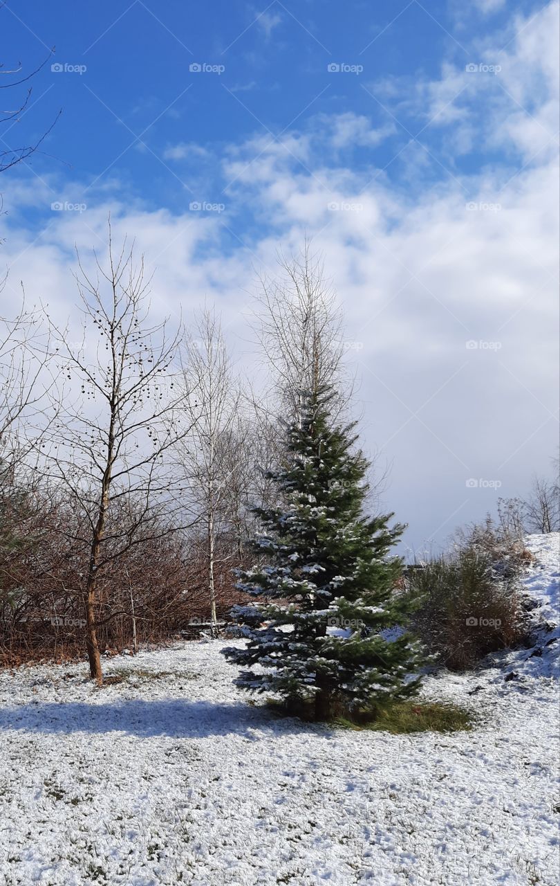 beautiful sunny day after springtime snowfall