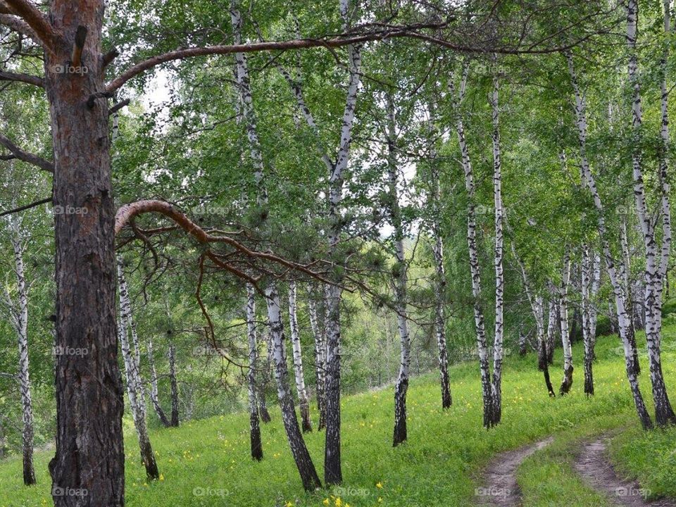 Красоты Кузбасса