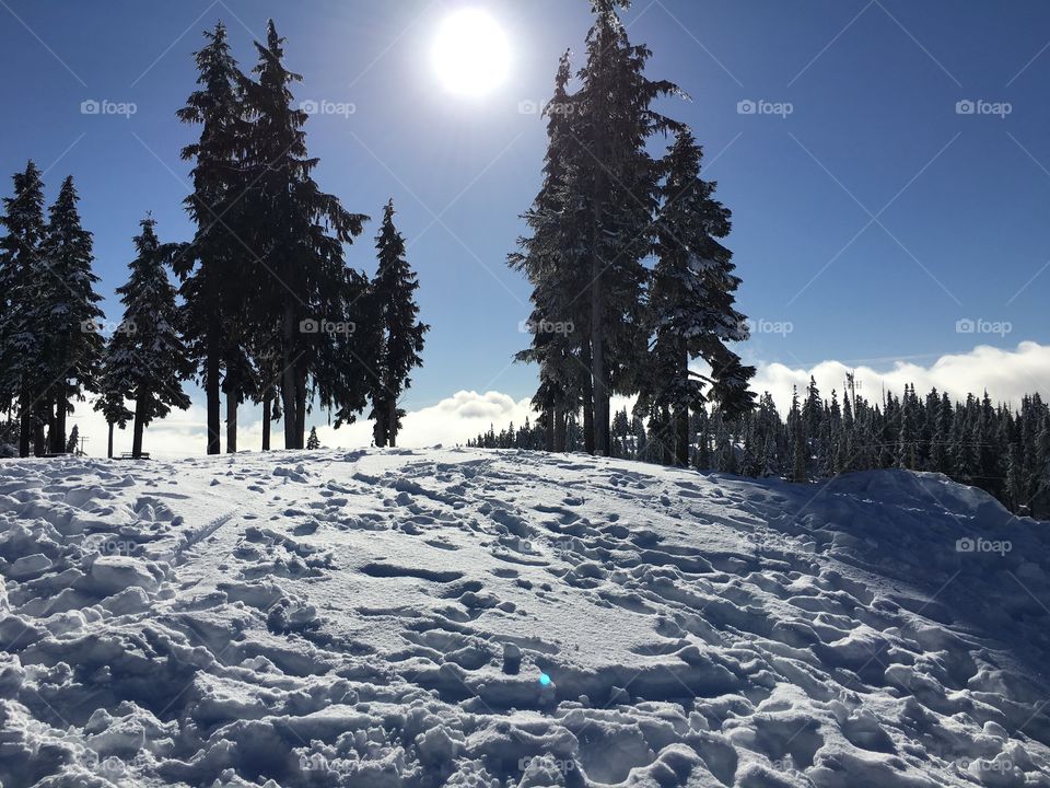 Bright sun at winter