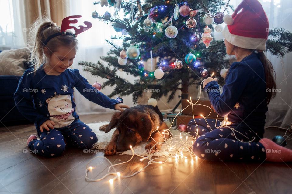 Little sisters with the puppy near Christmas tree