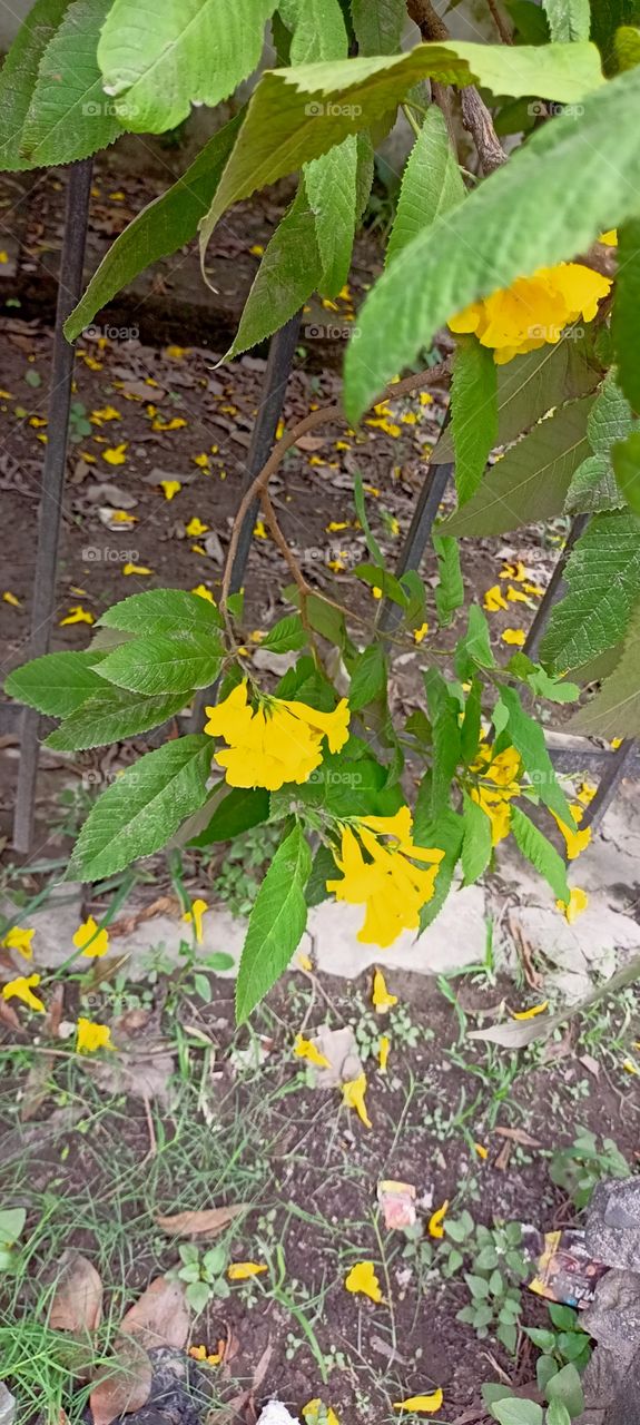 Moods of autumn 🍂🍂🍂