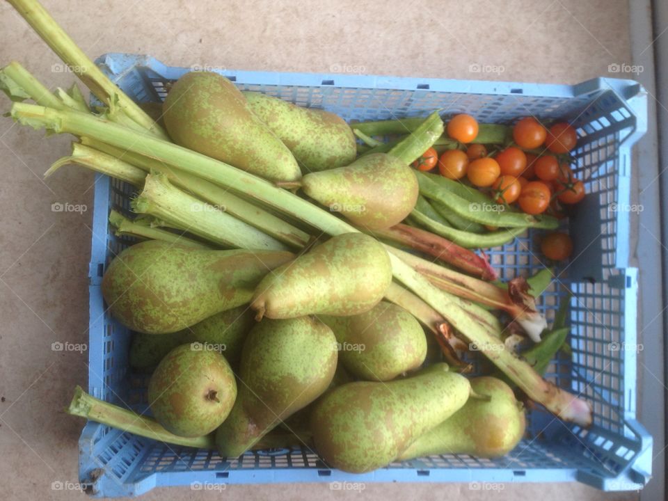 Fruit. Just picked from the garden 