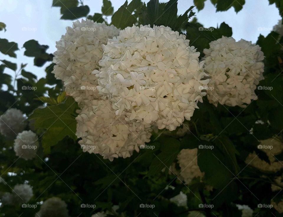 Sarajevo, Bosnia and Herzegovina