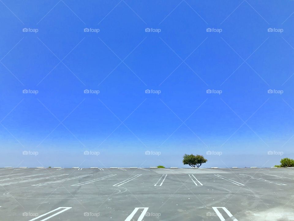 Edge of the world?  Parking lot with a single tree 