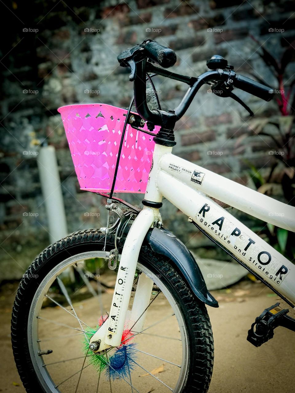 Let’s start the ride🚵‍♀️