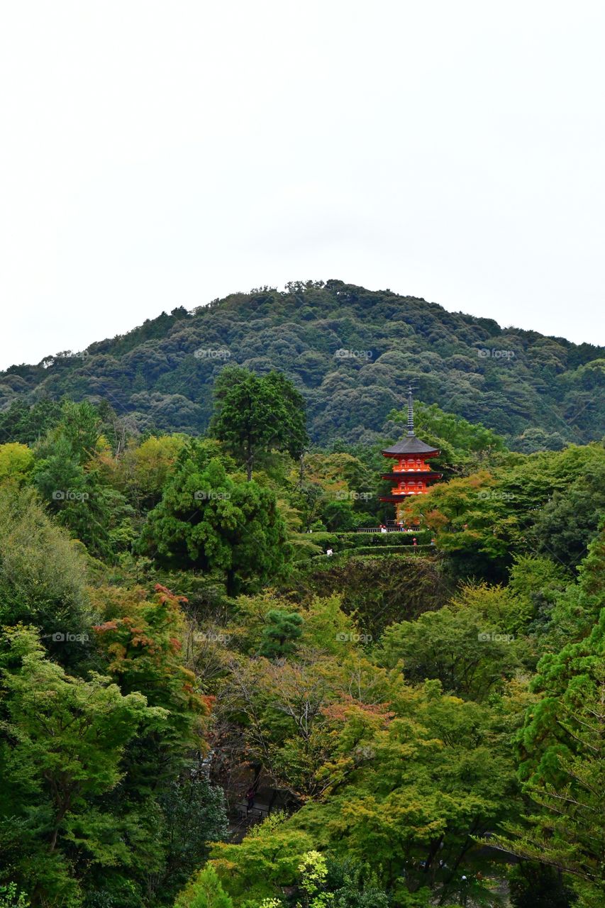 Japan's beautiful landscapes