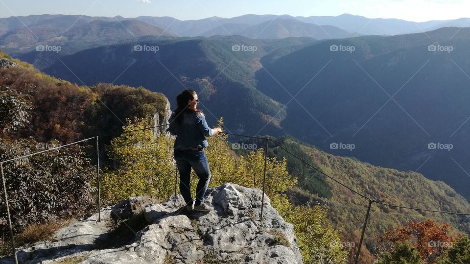 bulgarian mountain rodophi wood