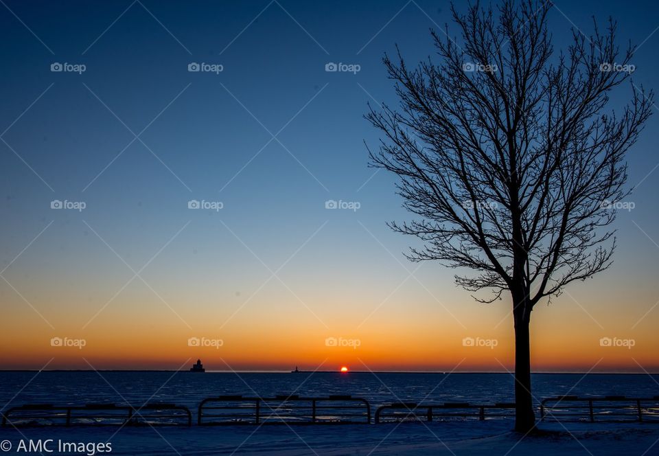 One lone tree in winter at sunrise