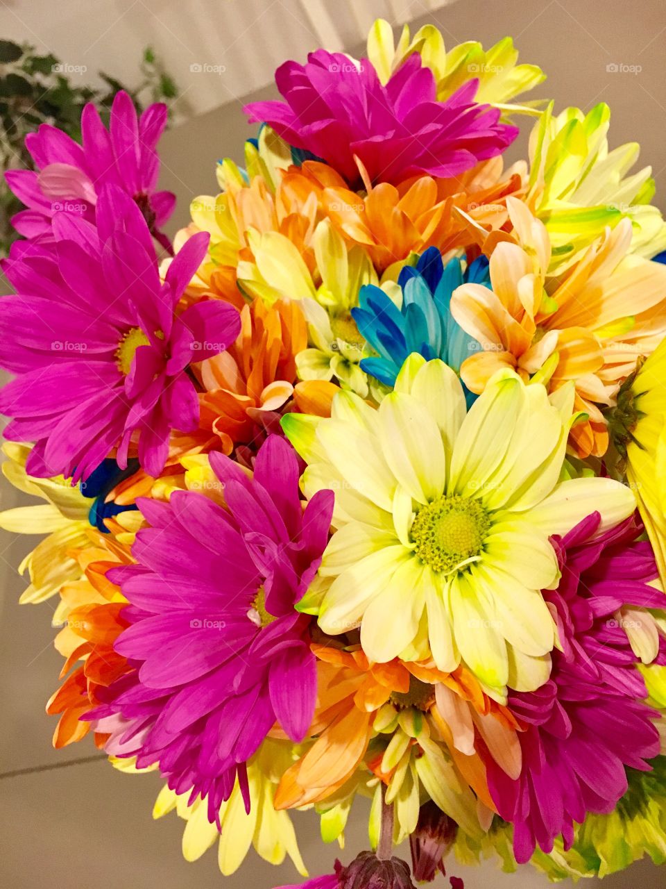 Bright colorful flowers